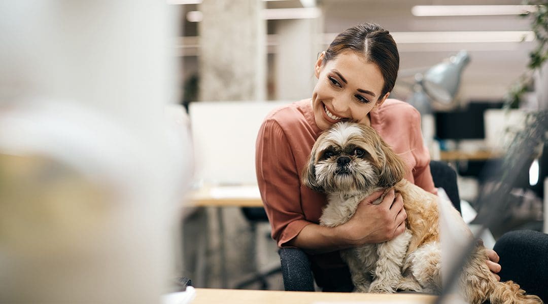 Mujer con su perro en el trabajo en una oficina petfriendly