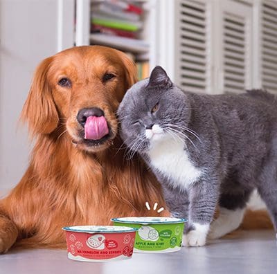 Helados para perros y gatos