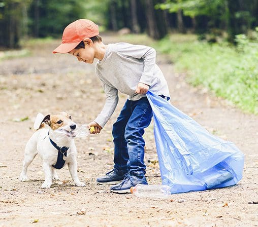 Maikai Pets sostenibilidad Responsabilidad corporativa